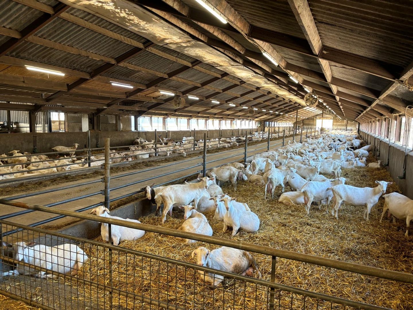 Weideweg 7 - Leunen - Afbeelding 7