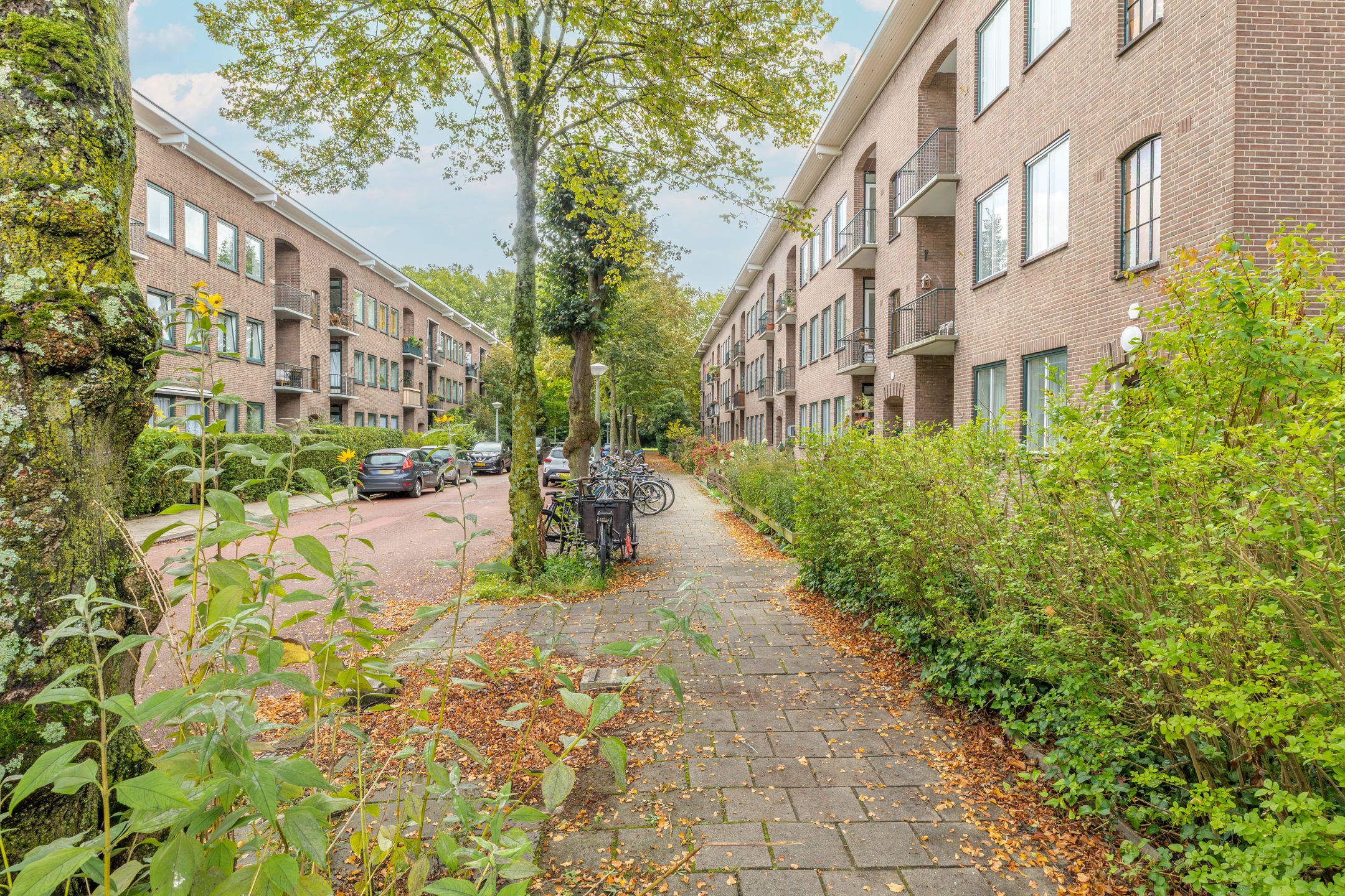 Foto 21 van Bolkstraat 8-1