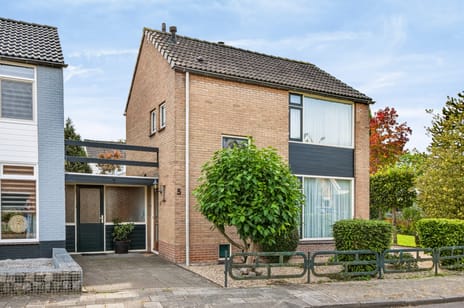 Jan van Harenstraat thumbnail