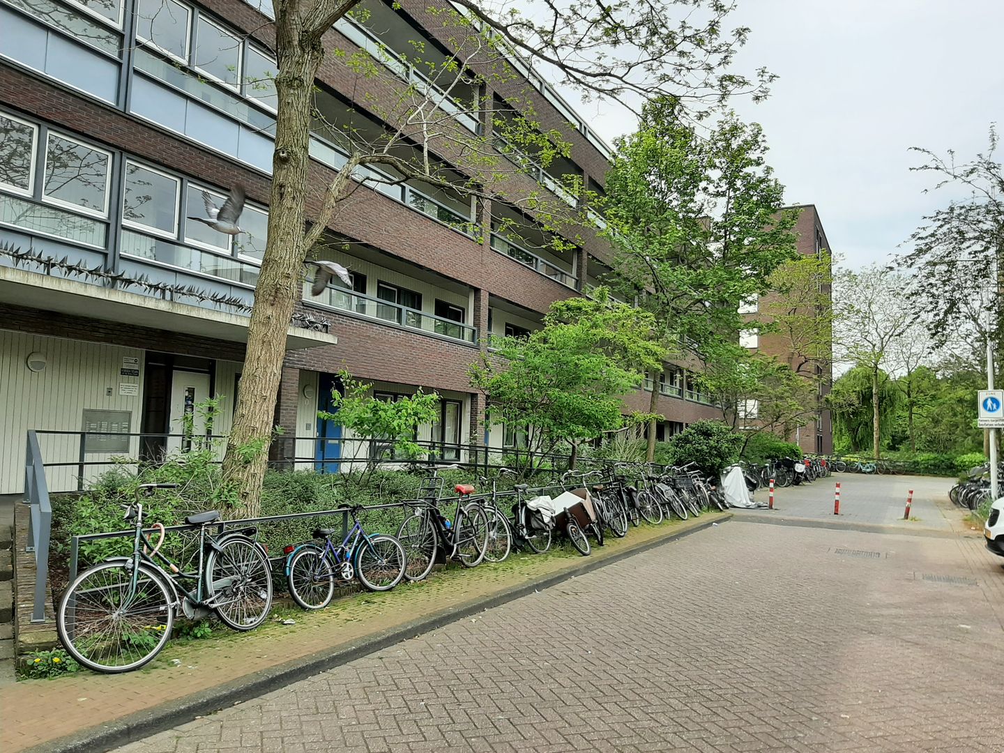 Photo 20 of Joos Banckersplantsoen 2