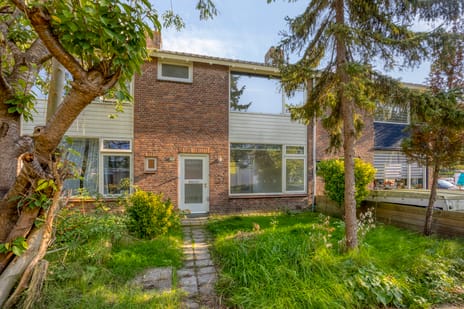 Pampusstraat thumbnail