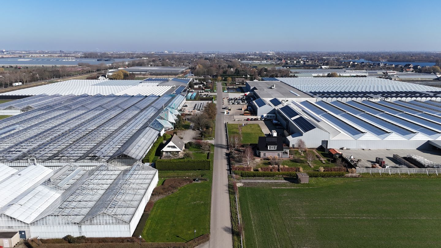 Rijshornstraat - Rijsenhout - Afbeelding 6