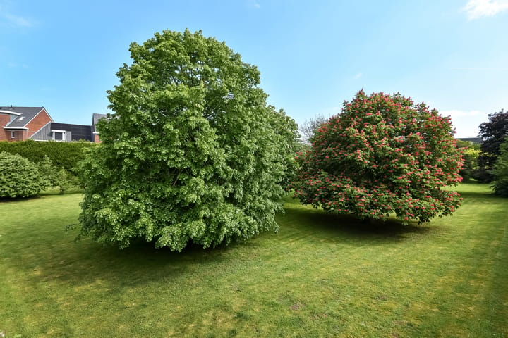 Woning te koop: Oudewei 1B, Haalderen