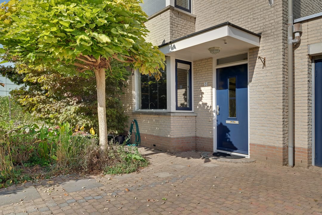 Foto 7 van Robert de Vriesstraat 3