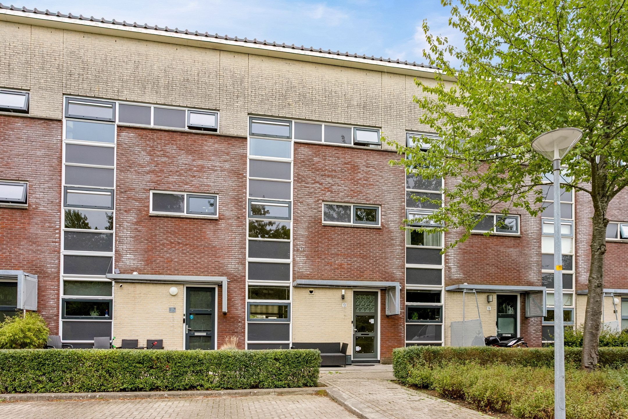Professor Pigracht 13 