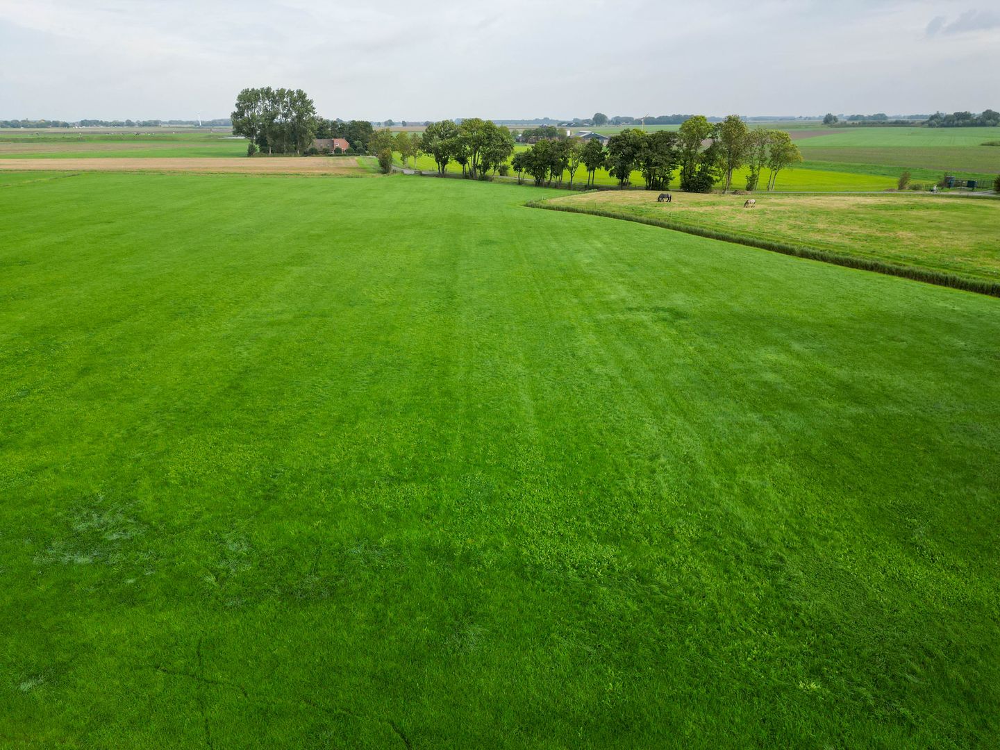 Foto 4 van Slagtersrijge 13