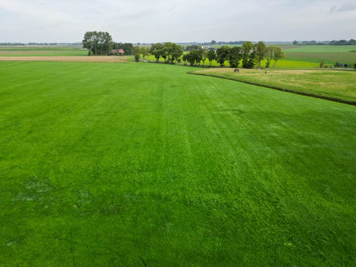 Foto 4 van Slagtersrijge 13