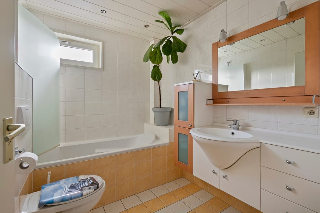Photo 22 of Lippe-Biesterfeldstraat 37