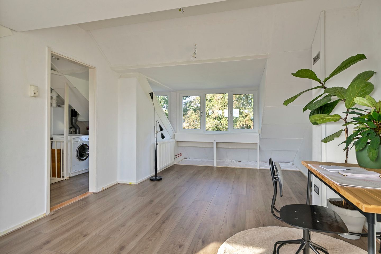 Photo 29 of Lippe-Biesterfeldstraat 37