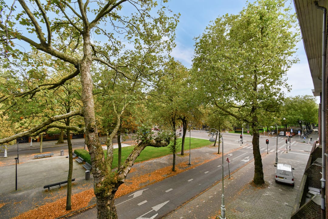 Foto 16 van Apollolaan 95-2