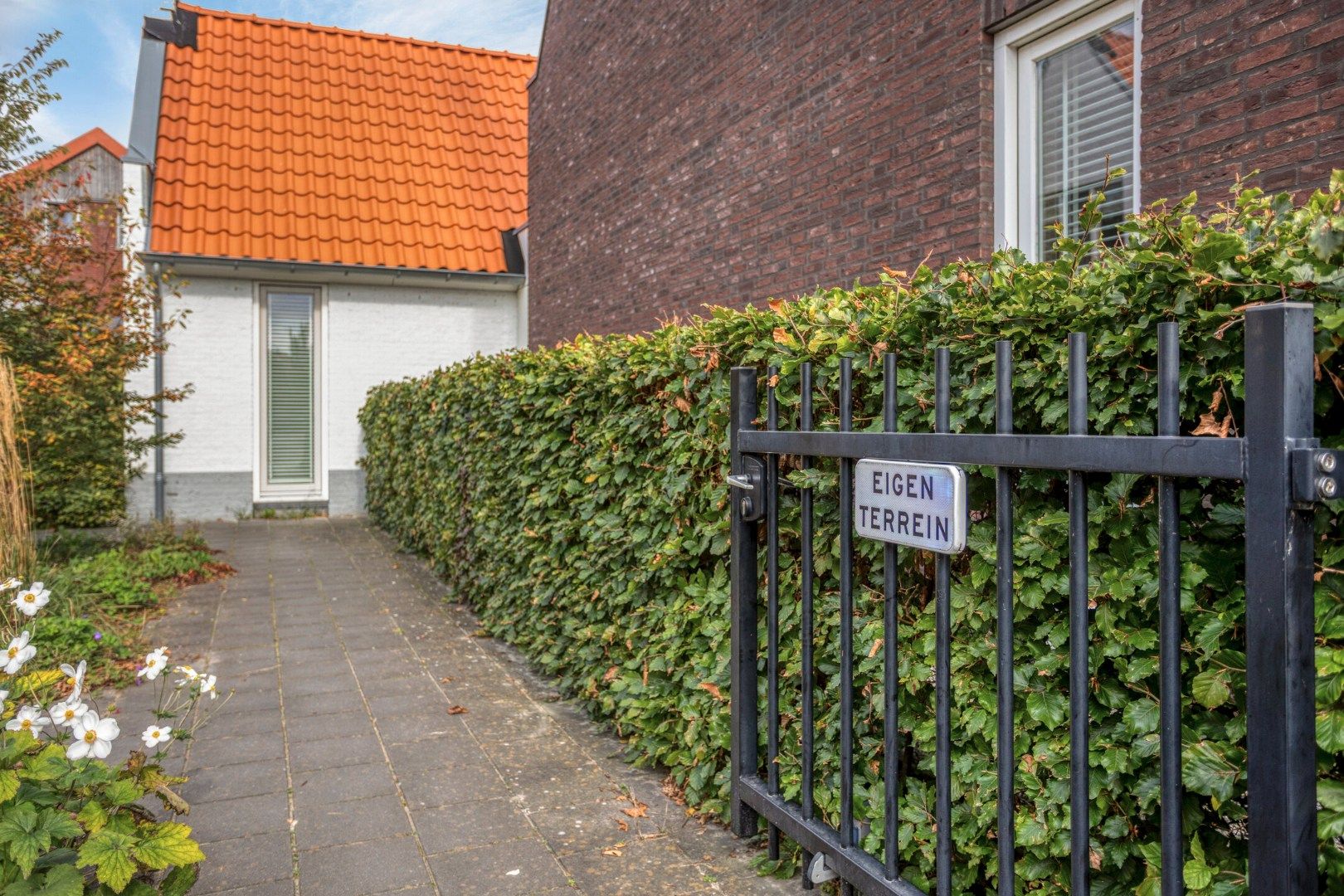 Foto 6 van Kleine Vos 16