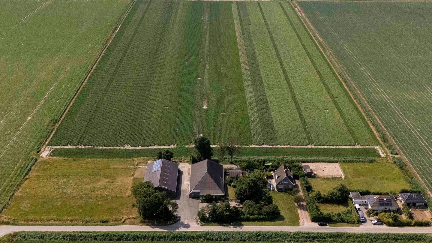Photo 4 of Zwinweg 15