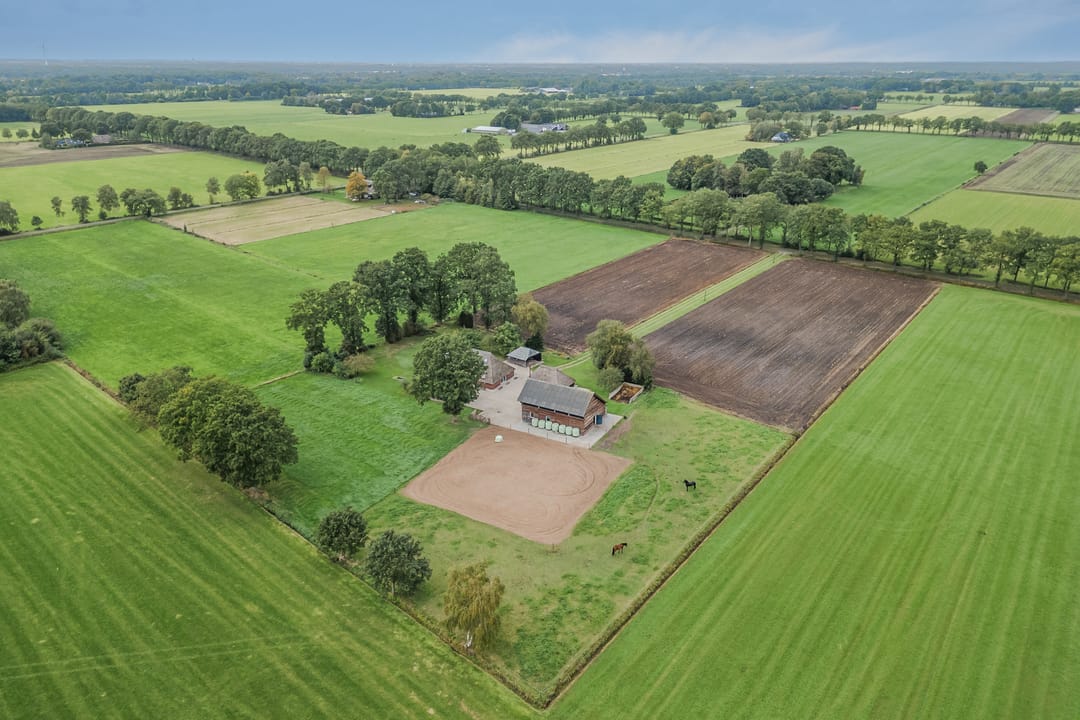 Photo 58 of Kringsloot-oost 12