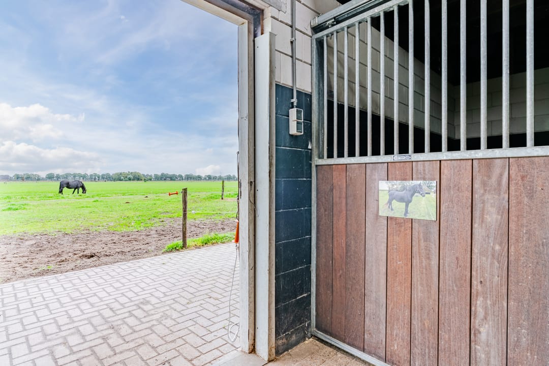Photo 47 of Kringsloot-oost 12