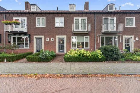 Van Eesterensingel thumbnail