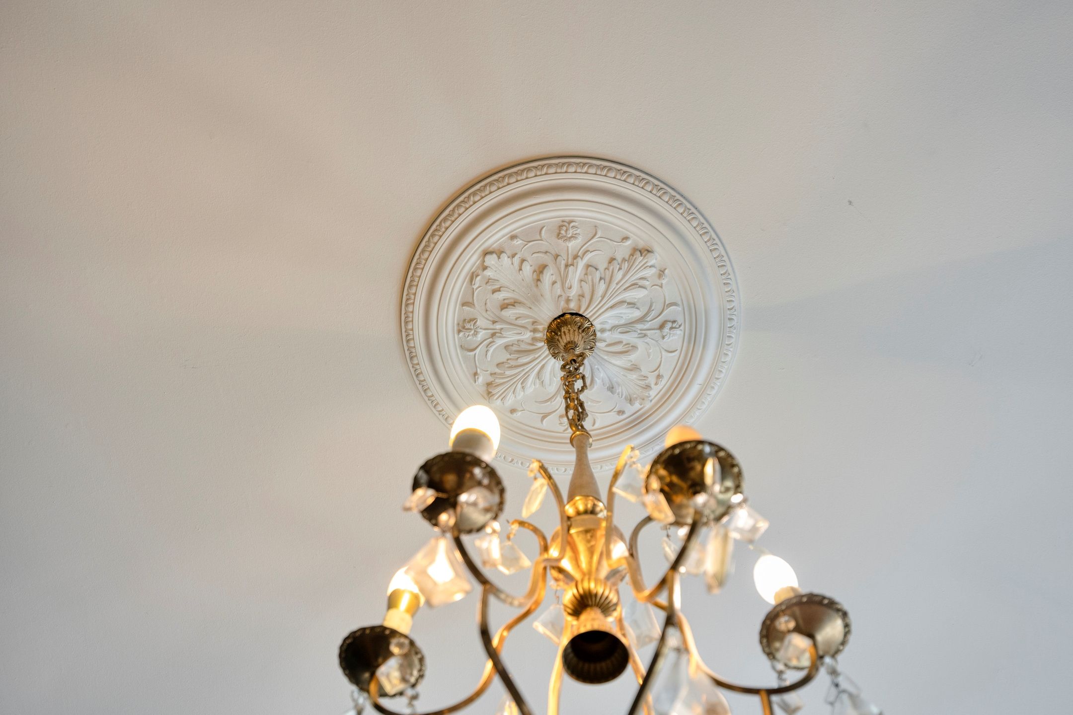 Photo 36 of Steenhof 4