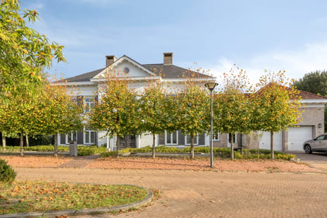 Steenhof thumbnail