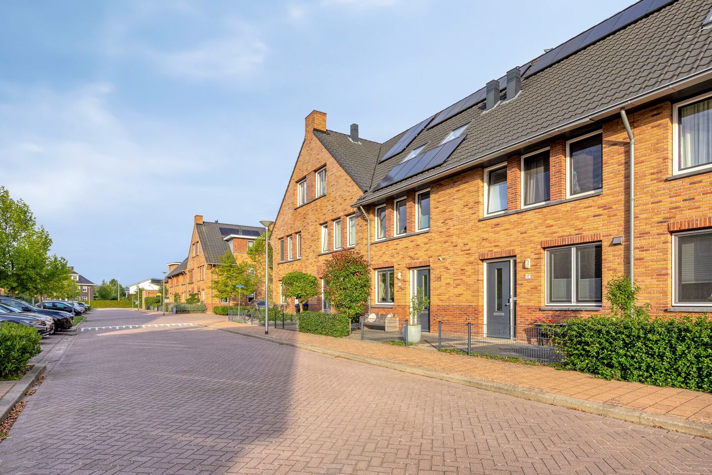 Foto 40 van Zomertaling 15