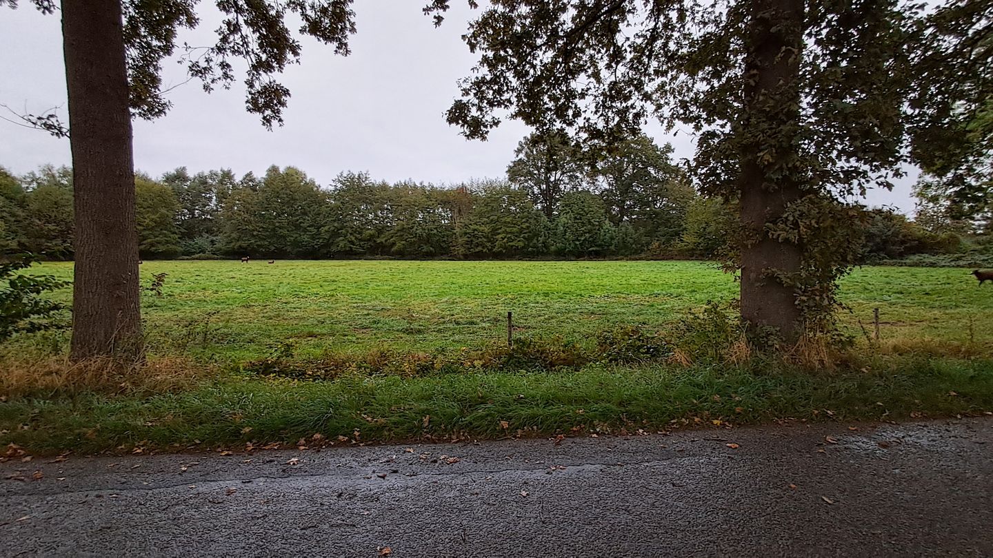 Groot Deunkweg - Aalten - Afbeelding 5