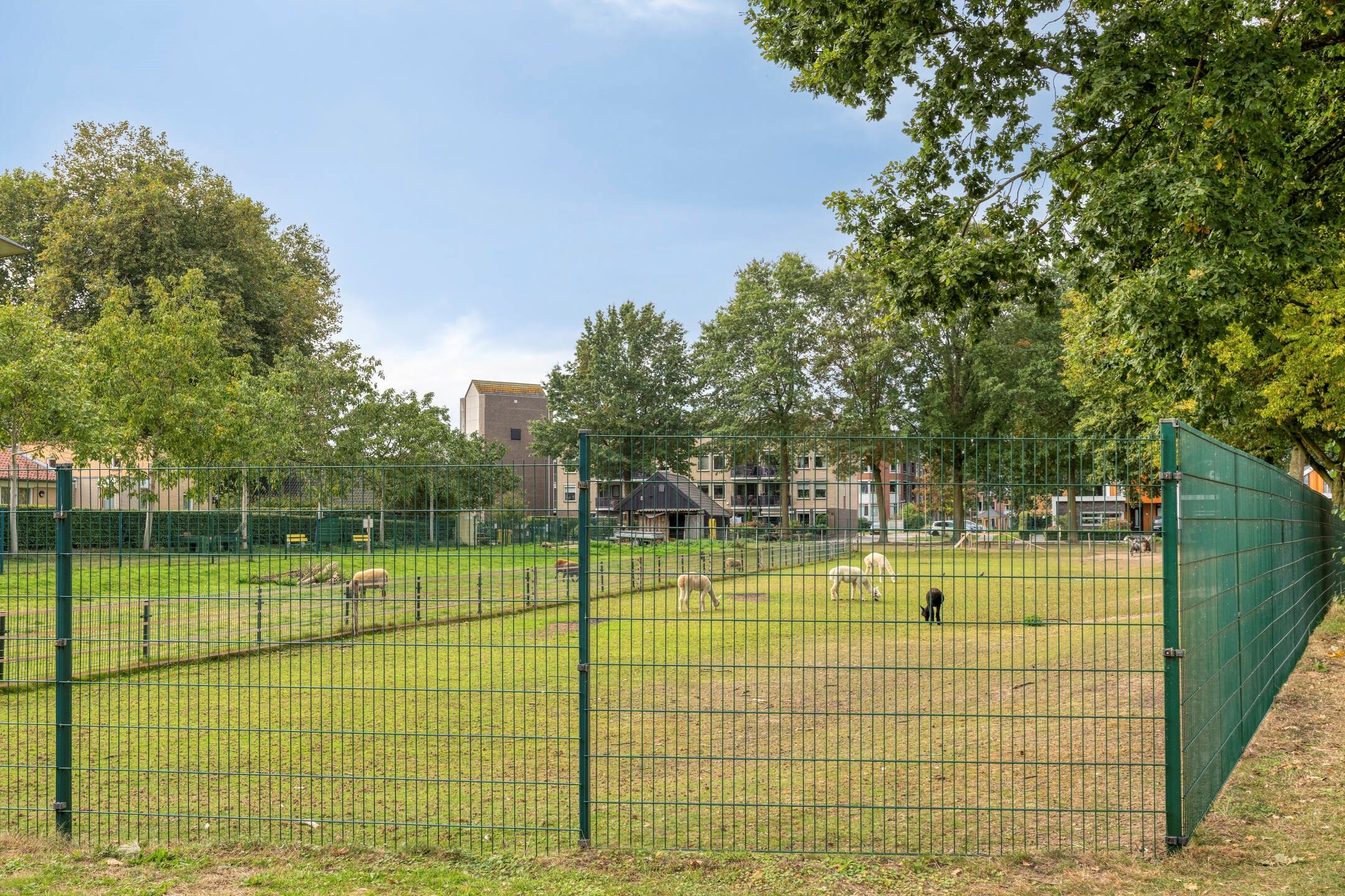 Photo 33 of Rozenstraat 48