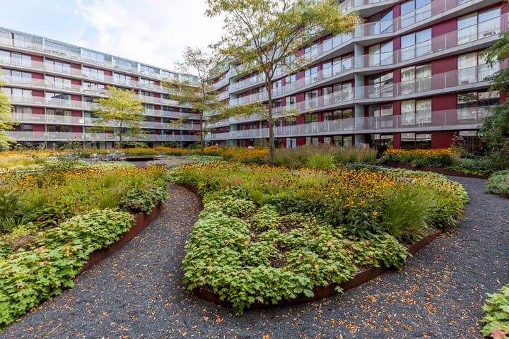 Appartement te huur: Carolina MacGillavrylaan 238, Amsterdam