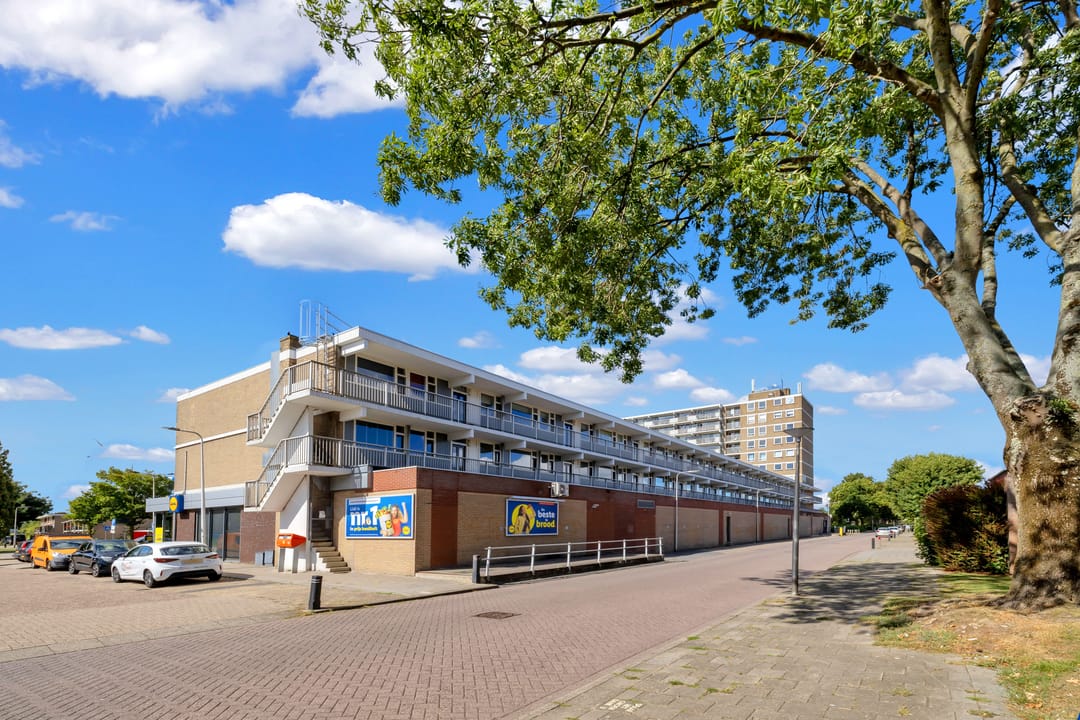 Photo 28 of van der Fuyckstraat 219