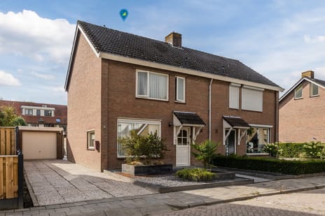 Blauwbloei thumbnail