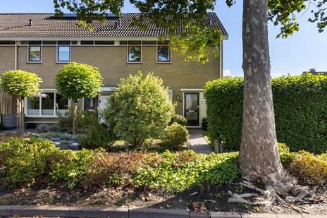 Jellen thumbnail