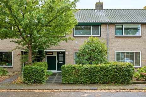 Boerhaavelaan thumbnail