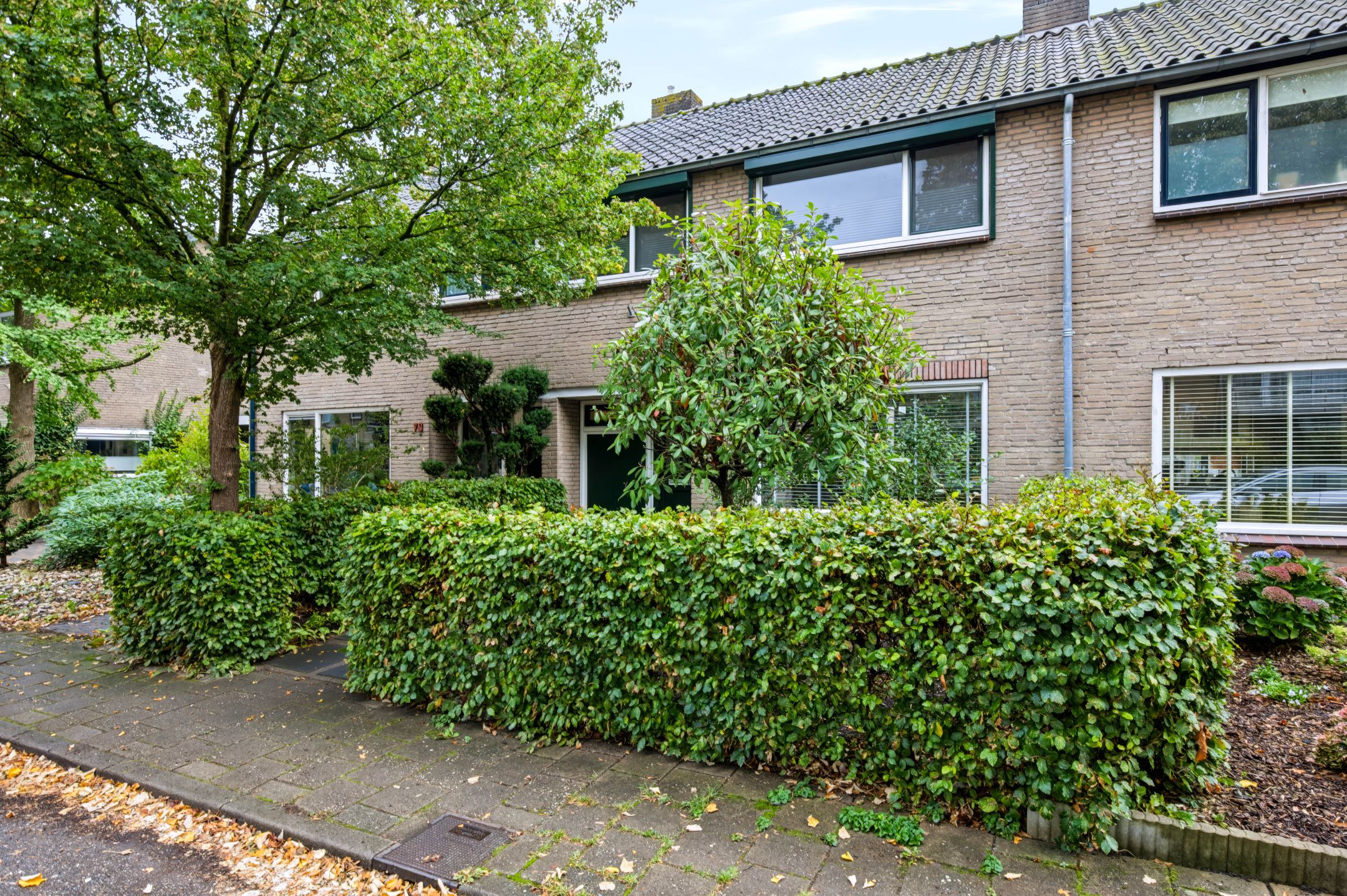 Foto 42 van Boerhaavelaan 75
