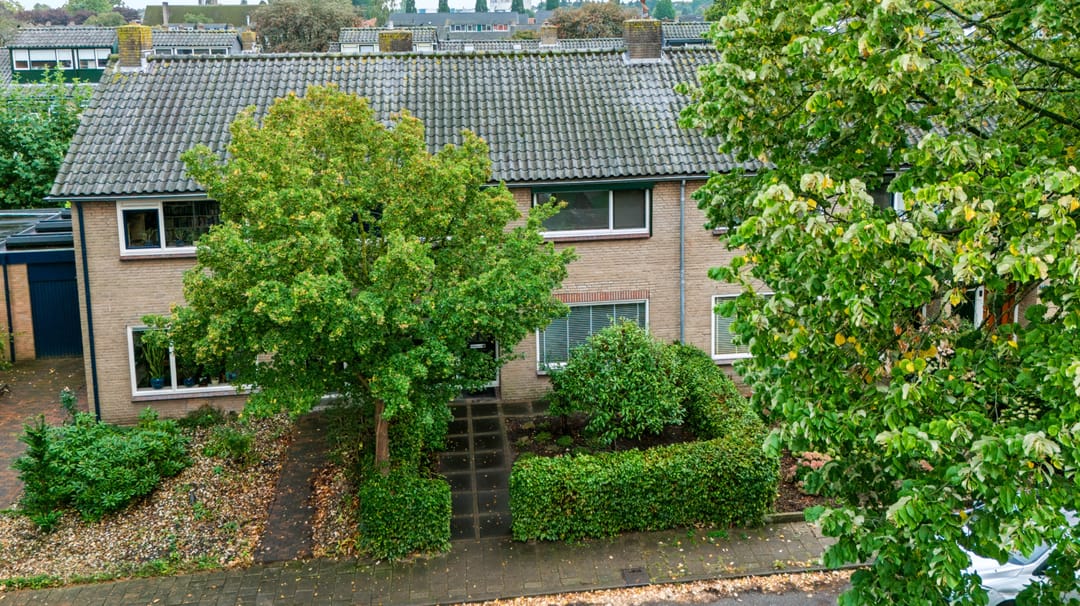 Foto 41 van Boerhaavelaan 75