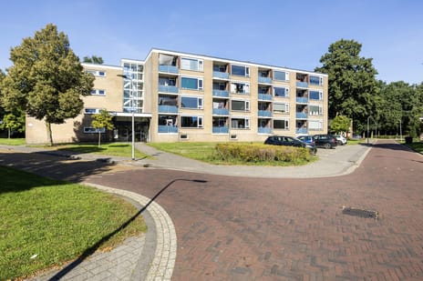 van Kuykstraat thumbnail