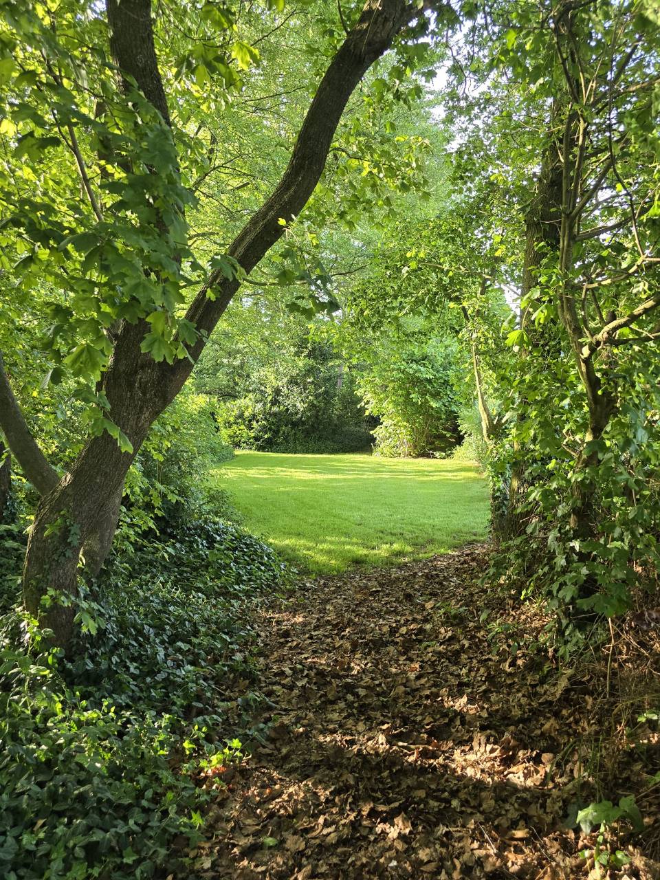 Foto 49 van Reintjesweg 2