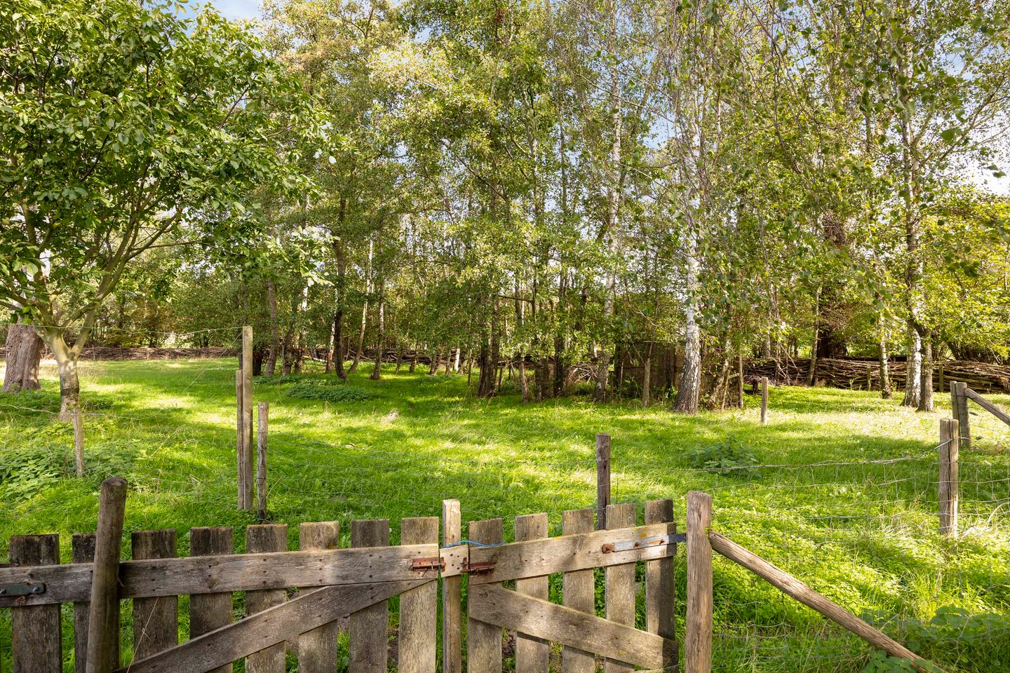 Foto 44 van Krommenhoek 1