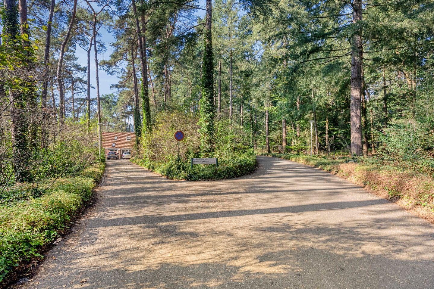 View photo 4 of Leemzeulder 31