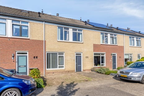 Jan Steenstraat thumbnail