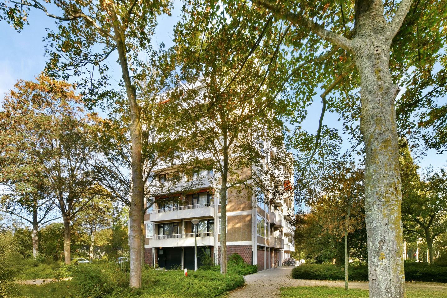 Photo 4 of Van Boshuizenstraat 7