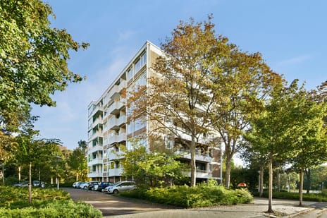Van Boshuizenstraat thumbnail