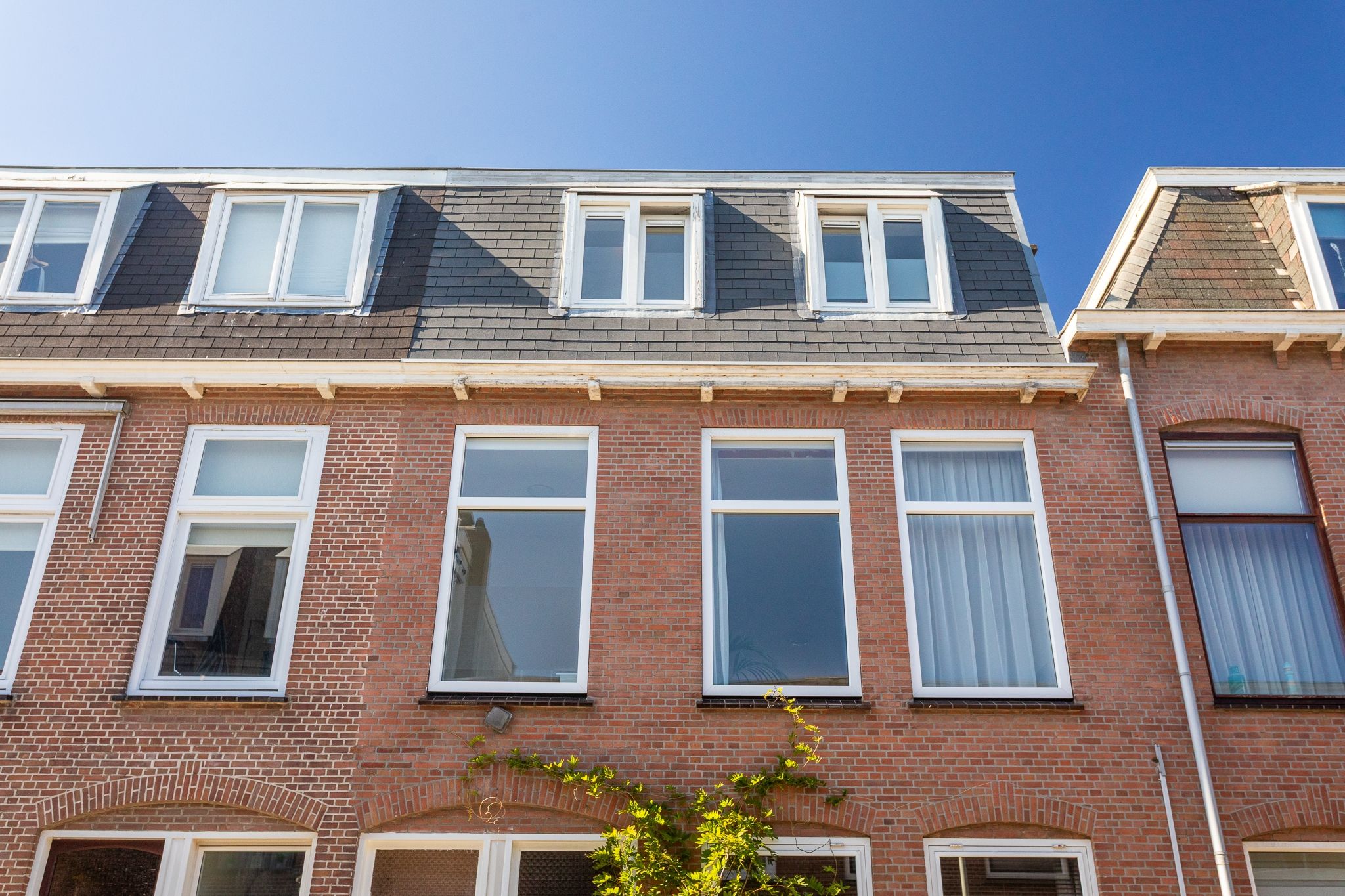 Photo 39 of Ripperdastraat 66