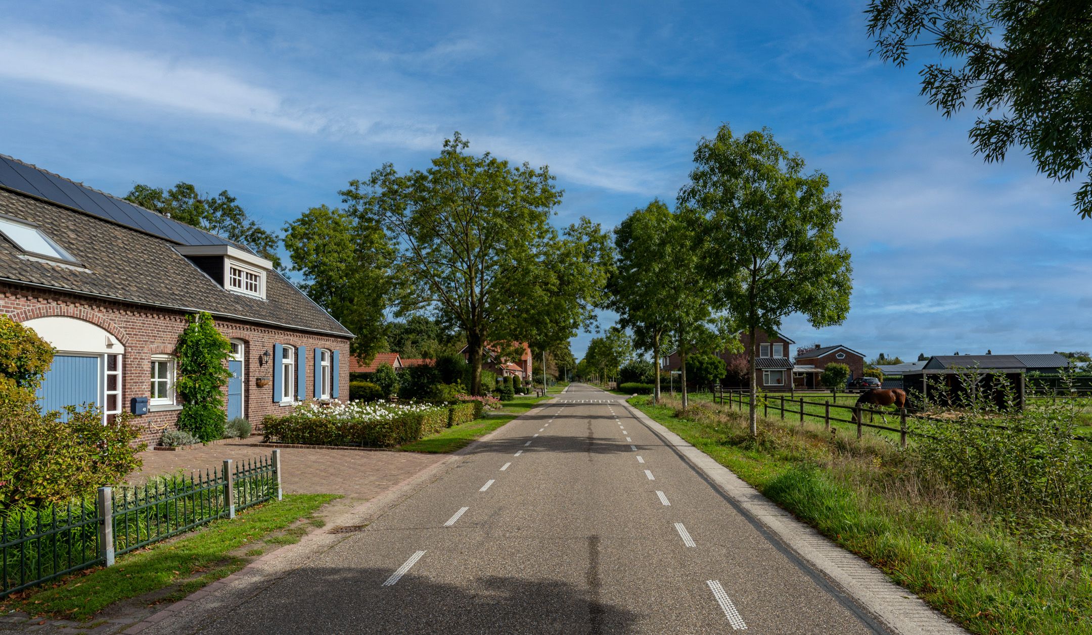 Photo 45 of De Brentjes 41