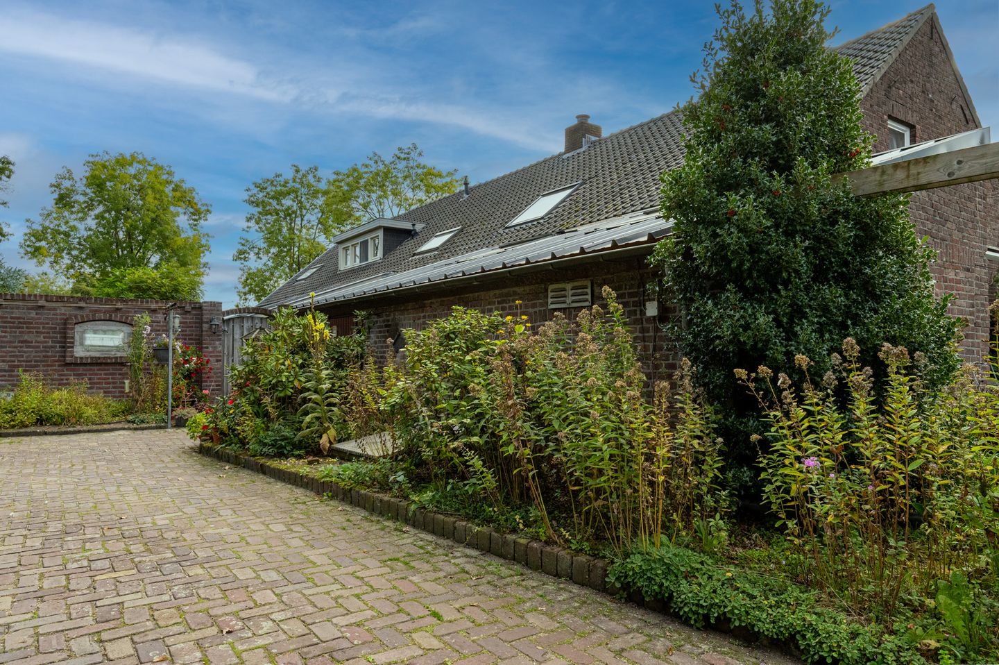 Photo 29 of De Brentjes 41