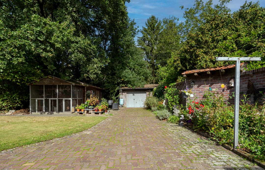 Photo 31 of De Brentjes 41
