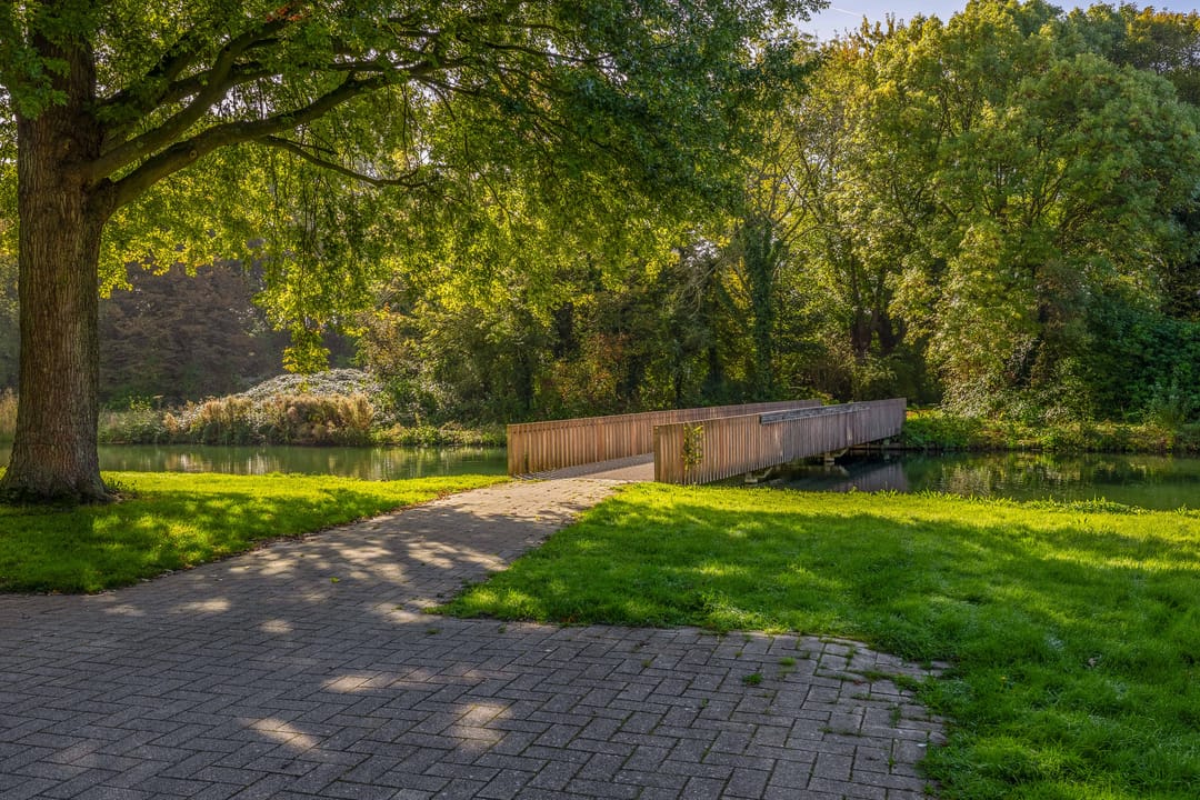 Photo 41 of Ruygeplaat 117