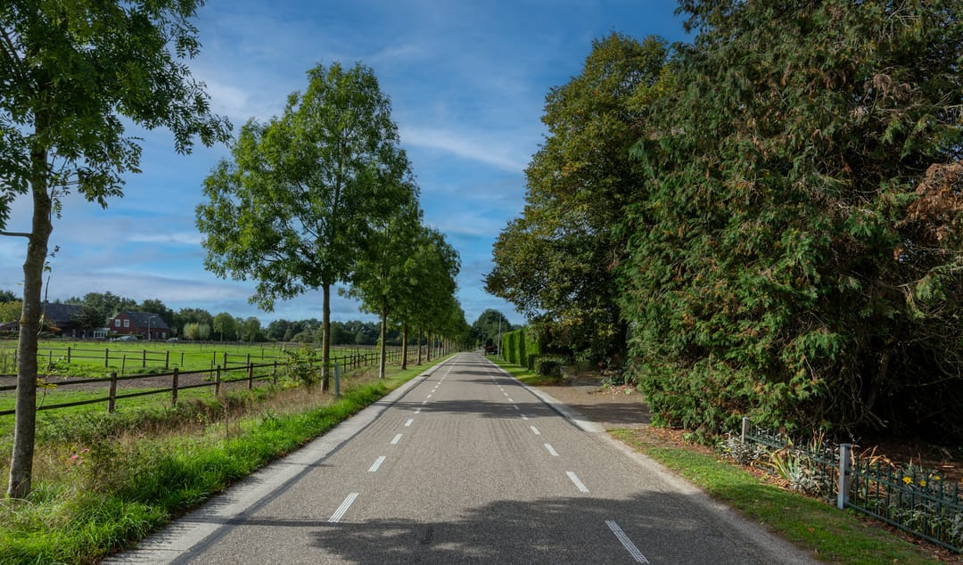 Photo 46 of De Brentjes 41