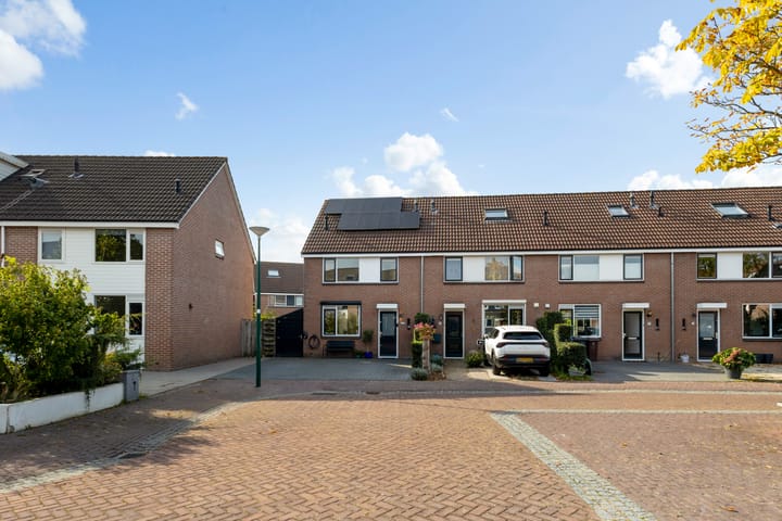 Foto 4 van Speenkruid 13