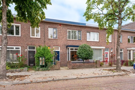 Oranjeboomstraat thumbnail