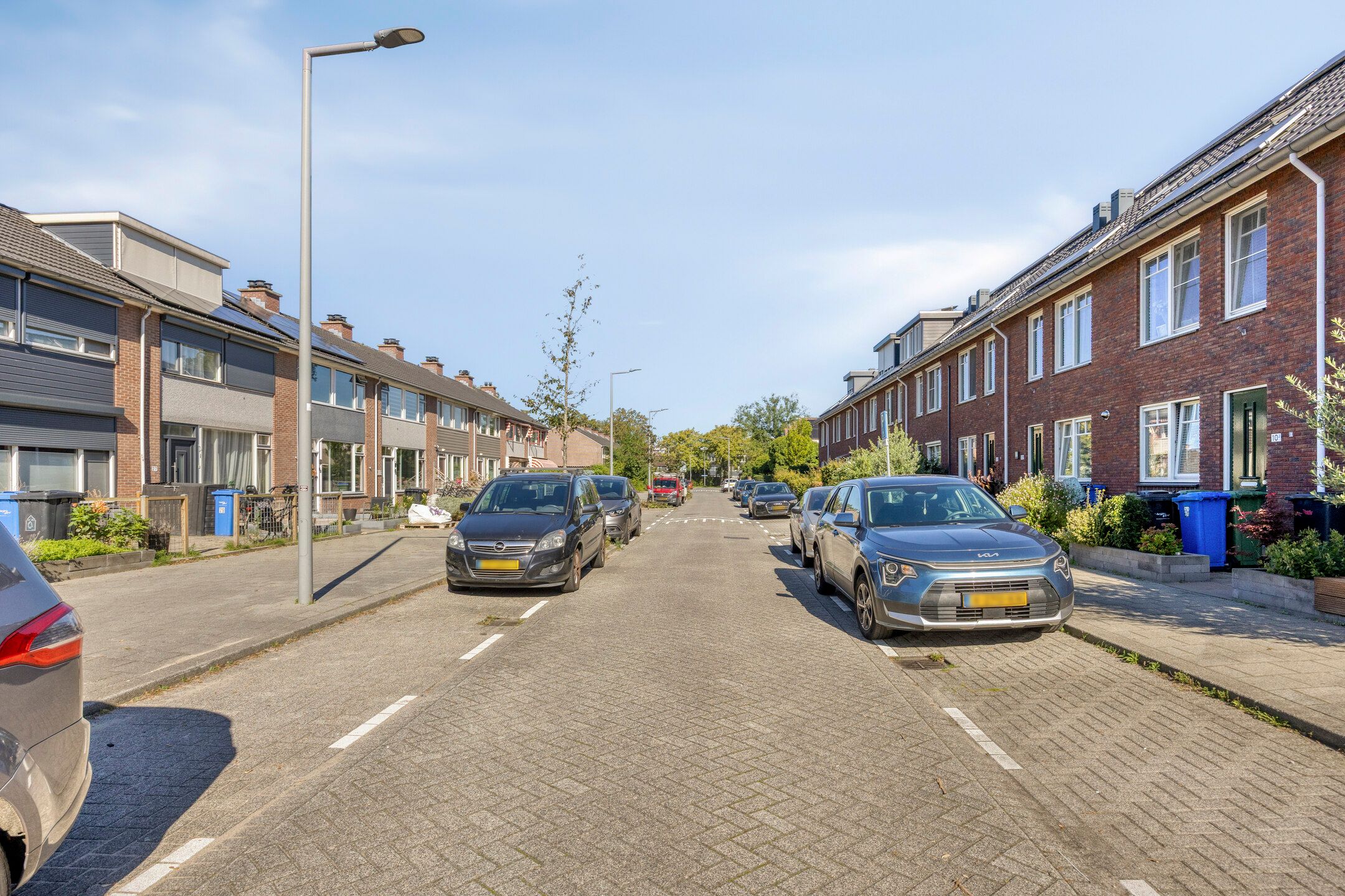 Foto 42 van Rijstgras 10-E