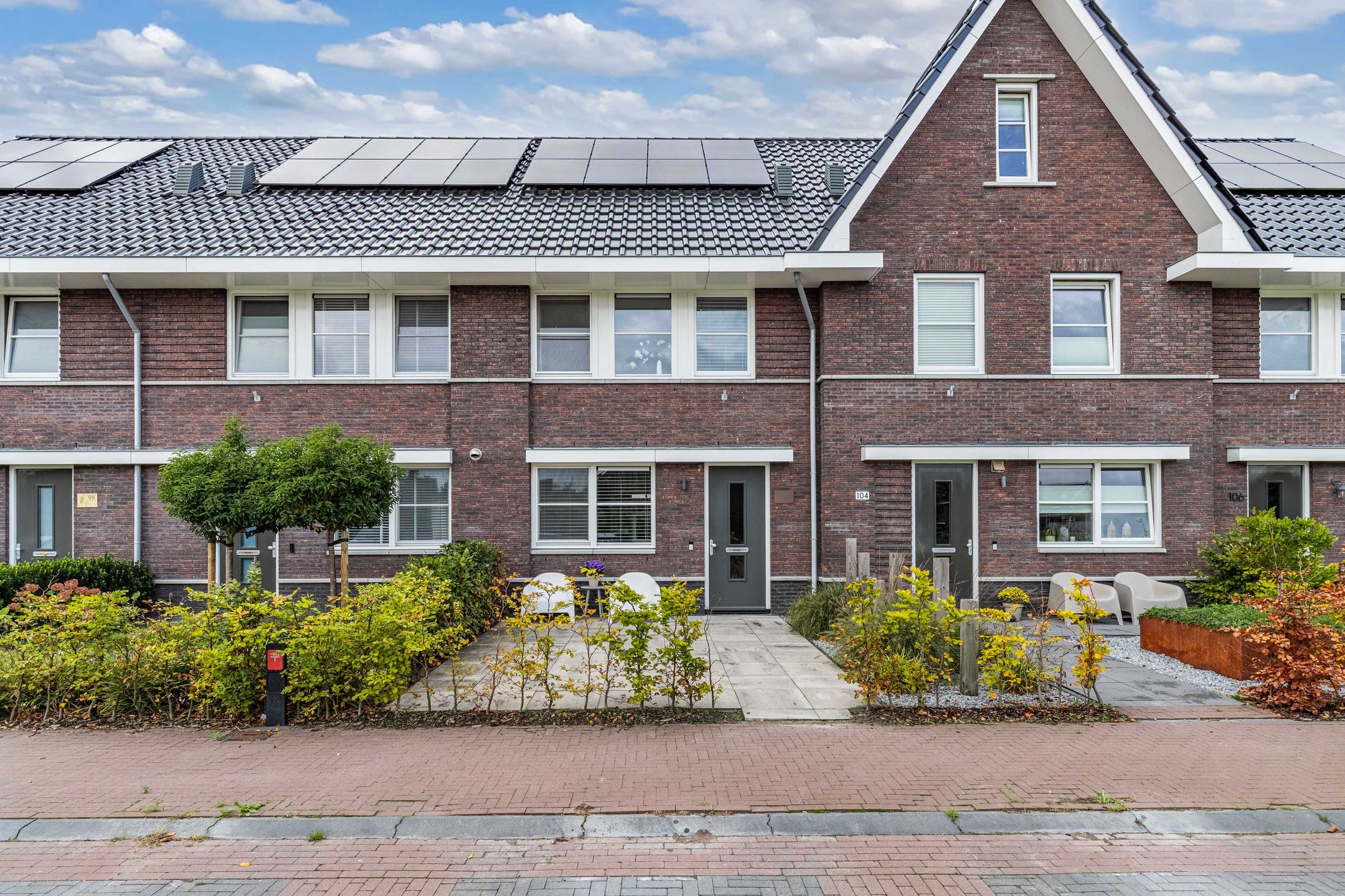 Sleutelbloem 102 