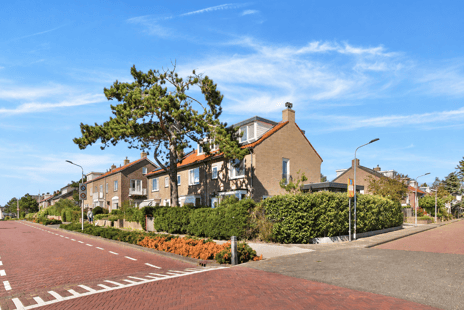Frans Zwaanstraat thumbnail