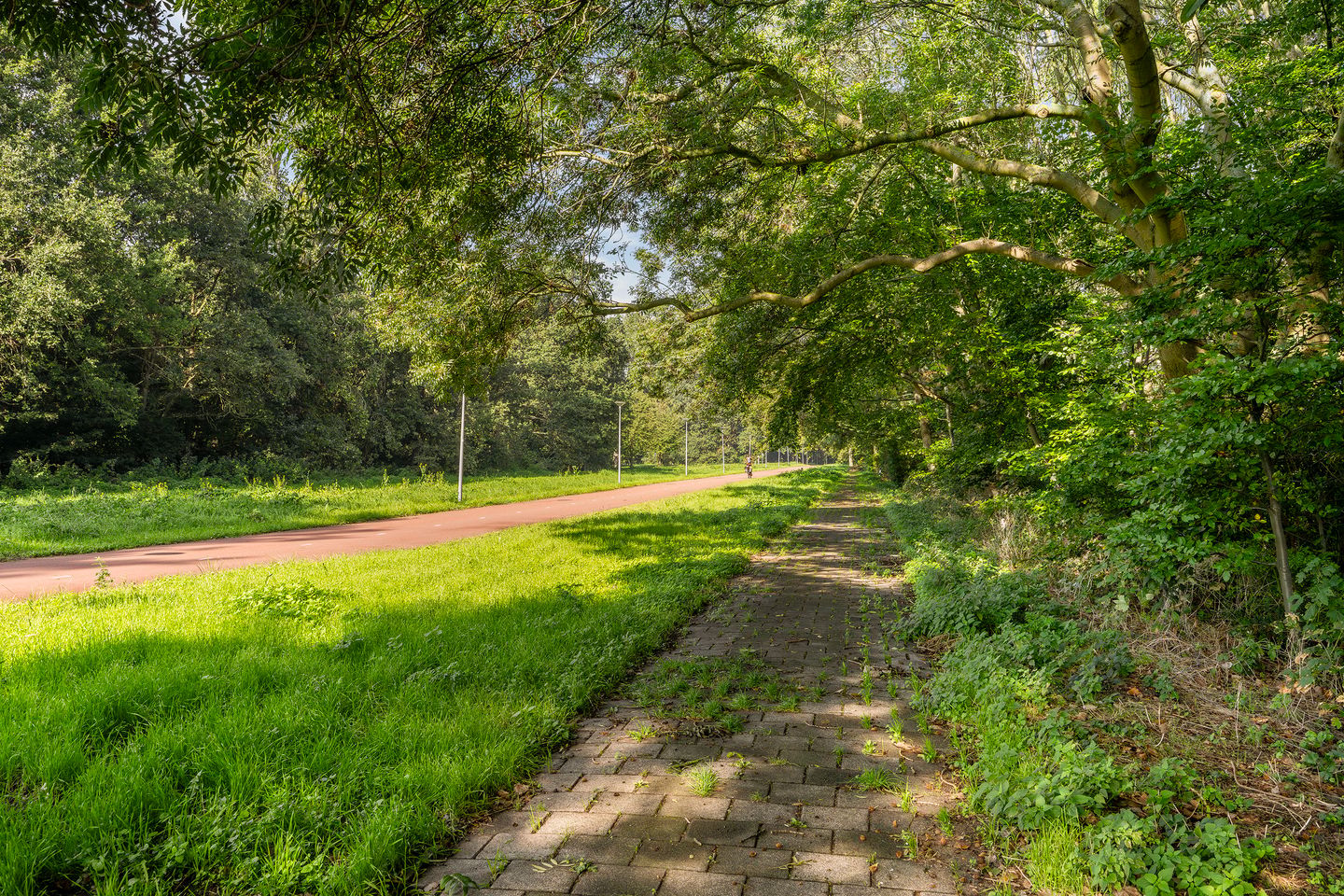 Photo 34 of Tijmweg 280